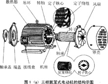 鼠籠式電動(dòng)機(jī)結(jié)構(gòu)示意圖